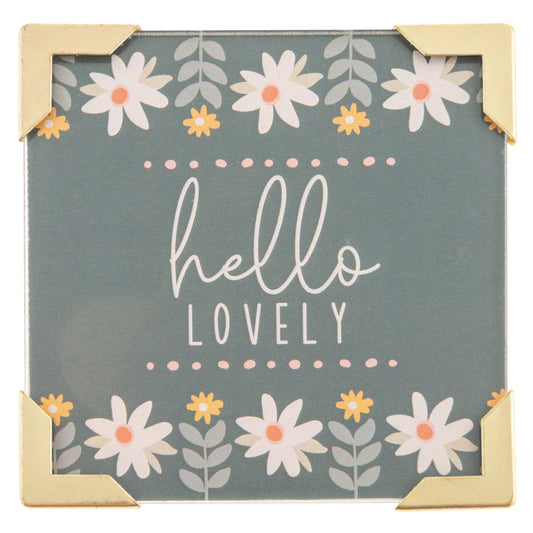 Framed Magnet: Hello Lovely